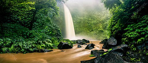 Waterfall cascade hidden in tropical jungle on the background green tree forest nature and mountain