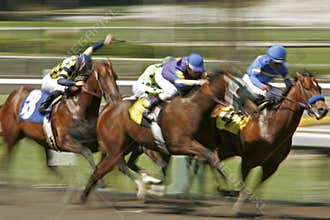 Motion Blur Horse Race