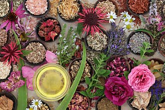 Natural Herbal Medicine for Skincare