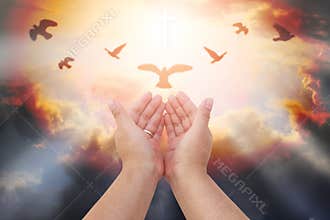 Human hands open palm up worship. Eucharist Therapy Bless God He