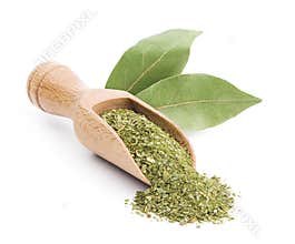 Bay leaf isolated on white