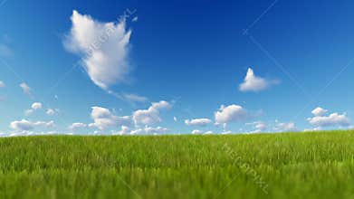 Grass blowing over blue sky