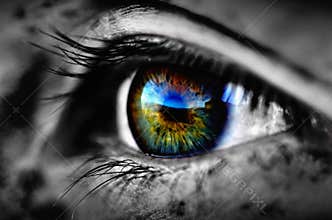 Scary Eye Detail