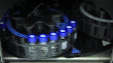 Scientist putting small tube to machine in laboratory. centrifuge laboratory medicine. A centrifuge spins vials of