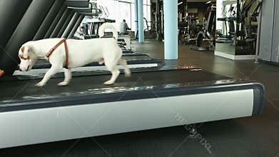 Fitness motivation funny joke.