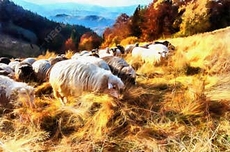 The works in the style of watercolor painting. Flock sheep