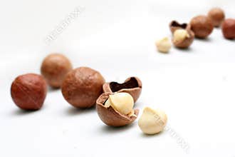 Macadamia nuts