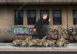 Crowded City, Rat Race, Rats