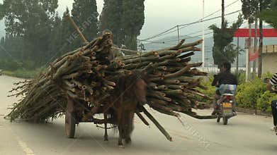 Man rides a horse on the road to the village.