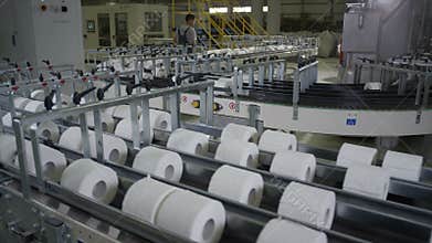 Upper Panoramic View of Long Toilet Paper Conveyor