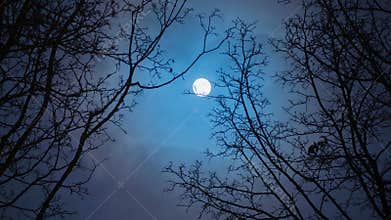 Full moon / Time Lapse