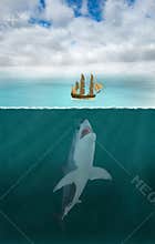 Great White Shark Attack, Sea Ocean