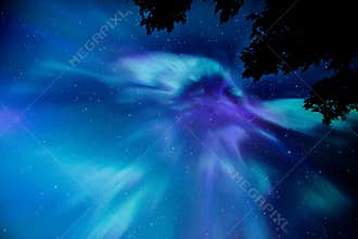 Aurora Borealis corona overhead with meteor
