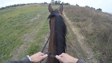 First person view of riding a horse. Point of view of rider walking at stallion at nature. Pov motion. Close up