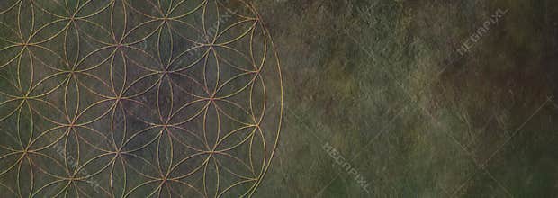 Flower of Life Rustic Stone Background -