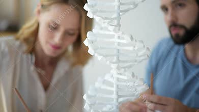 Selective focus on DNA model examined by groupmates