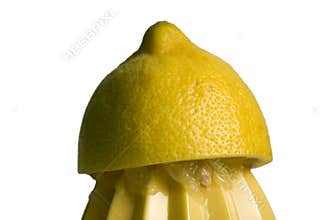 Lemon juice