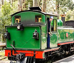 Train Driver on a steam train