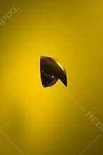 Golden bird beak