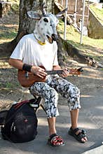 Street music with cow mask