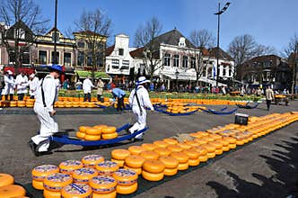 Cheese carriers