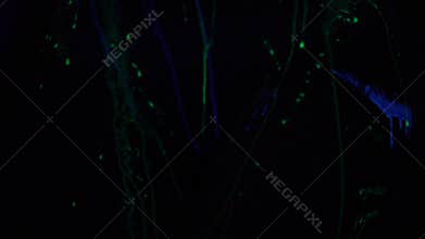 Fluorescent paint flows down a naked girl between her legs