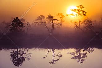 A beautiful, dreamy morning scenery of sun rising above a misty marsh. Colorful, artistic look.