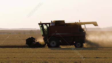 Working Harvesting Combine in the Field of Wheat at the sunset