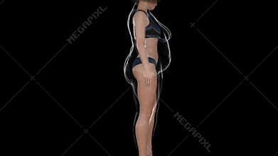 Slim fat after diet video animation isolated on black