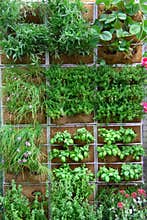 Vertical garden