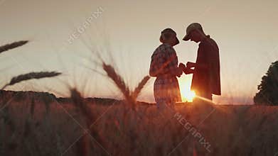 Two farmers are working in the wheat field at sunset. They use a tablet, communicate. In the foreground, spikelets of