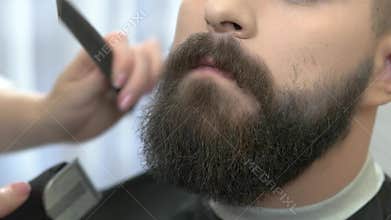 Close up of beard grooming.