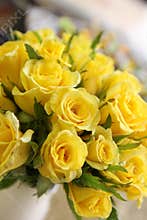 Yellow roses