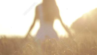 Silhouette of woman in wheat field in sunset light