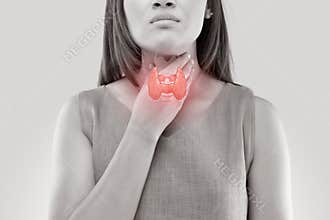 Women thyroid gland control.