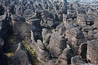 Mount Roraima landscape