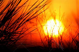 Hot Summer Sun