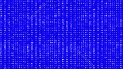 Computer data error