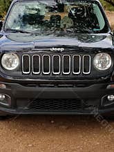 Jeep Dog
