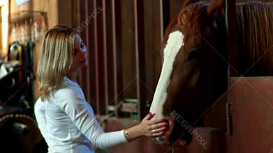 Young woman touching horse in farm stall. Woman and horse at stable