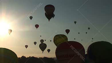 Balloons flying with the sun