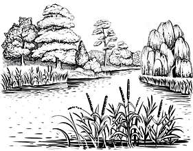 River vector landscape with trees and water plants, hand drawn illustration.