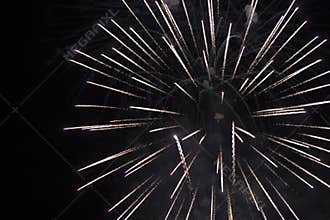 Firework