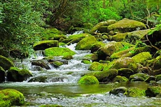 Cascading Mountain stream