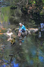 Companions in the Creek