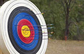 Archery target