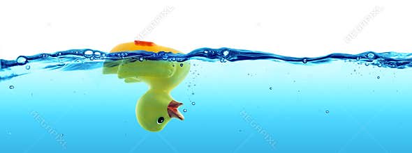 Duck drowned - failure