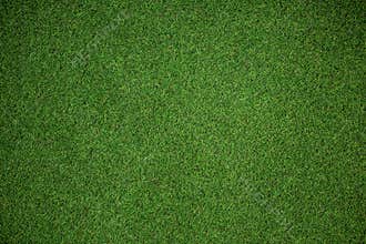 Close up view of astro turf