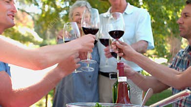 Happy seniors toasting with their family