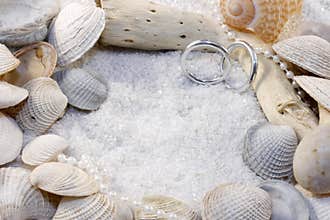 Shells and Wedding Rings